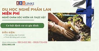 Du Học Nghề Phần Lan Miễn Phí