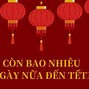 Nghỉ Hè 2024 Còn Bao Nhiêu Ngày